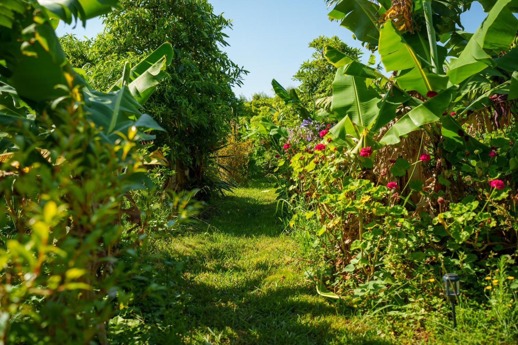 The Plantation Faial Bed & Breakfast Feteira  Exterior photo
